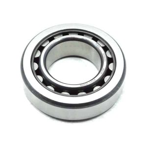 91001KSP913 - BEARING ROLLER 30X58X17